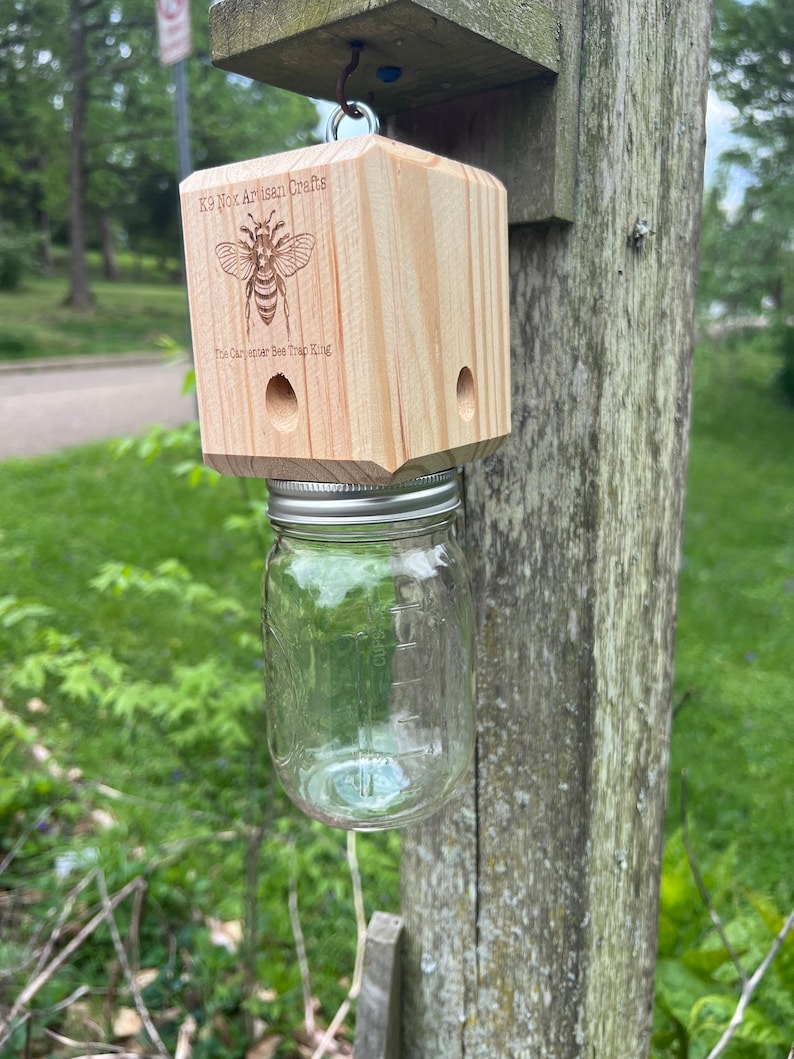 ✨Hot Sale 50% OFF--🔥Best Carpenter Bee Trap