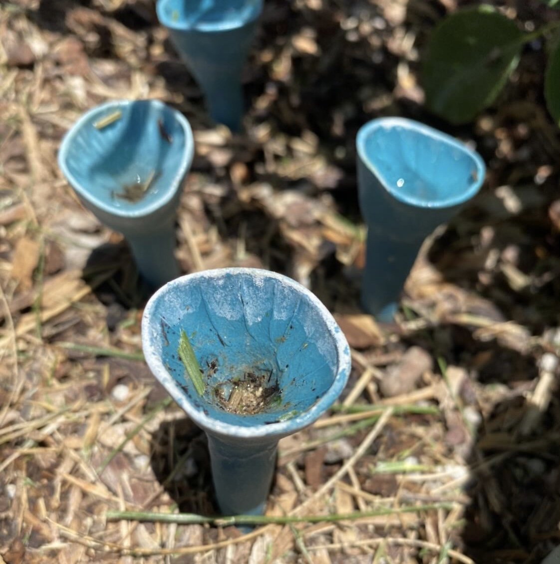 (😍BUY MORE SAVE MORE😍)🐝🐝Bee Drinking Cup - Set of 5