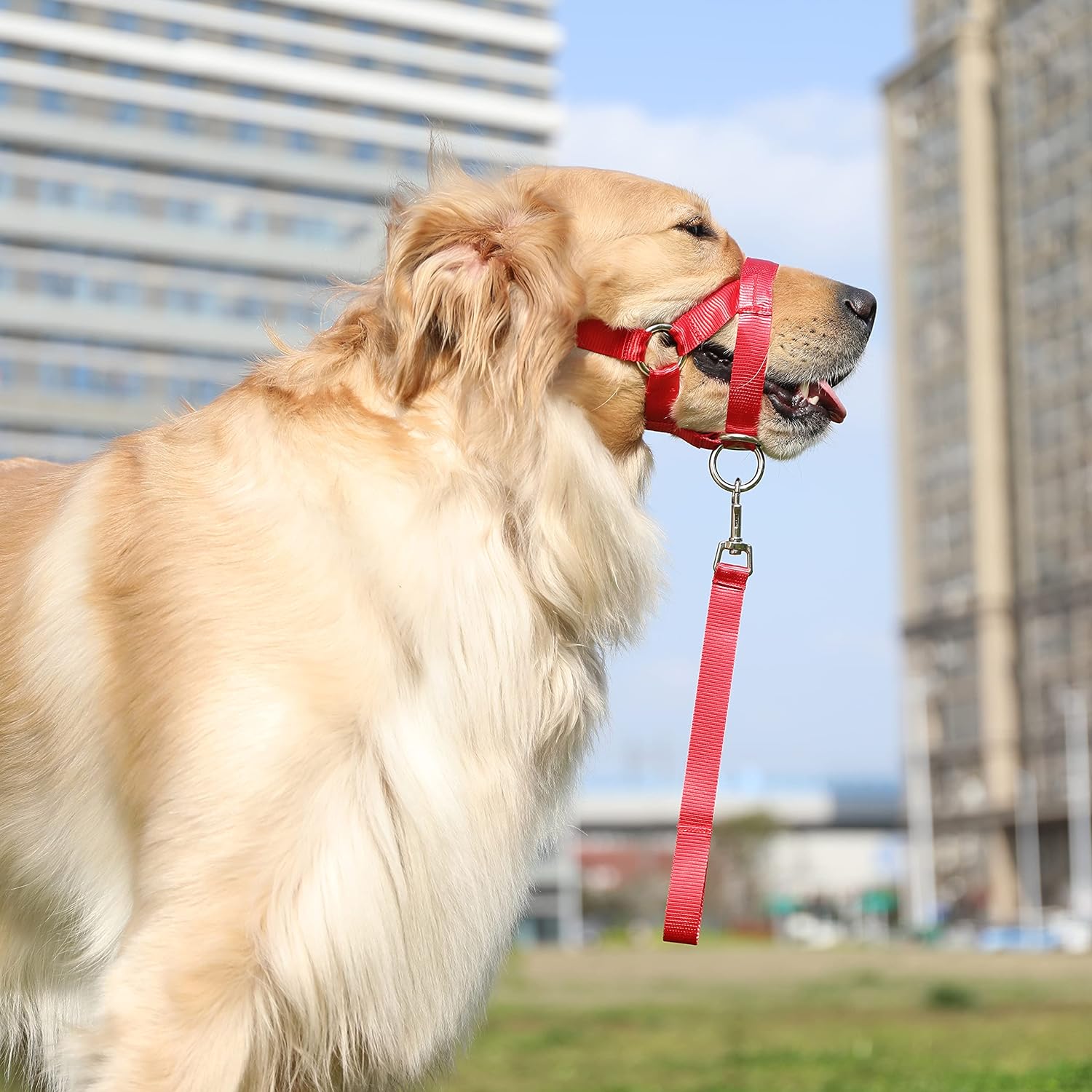 BARKLESS Soft Dog Head Collar, No Pull Training Tool for Small Medium Large Dogs on Walks, Gentle Training Collar and Control for Heavy Pullers, Includes Free Training Guide