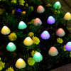⏰LAST DAY SALE 50% OFF💥LED Mushroom Light String