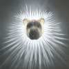 🔥 3D Animals LED Wall Light 🔥
