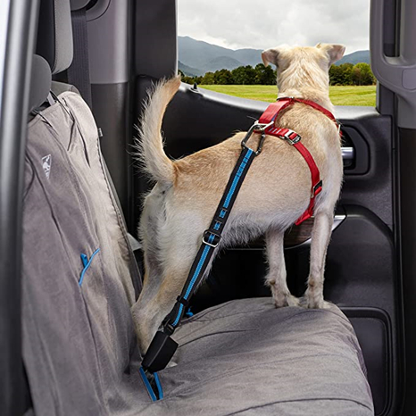 Early Christmas Sell 48% OFF- Pet Safe Seatbelt (BUY 2 GET 2 FREE)