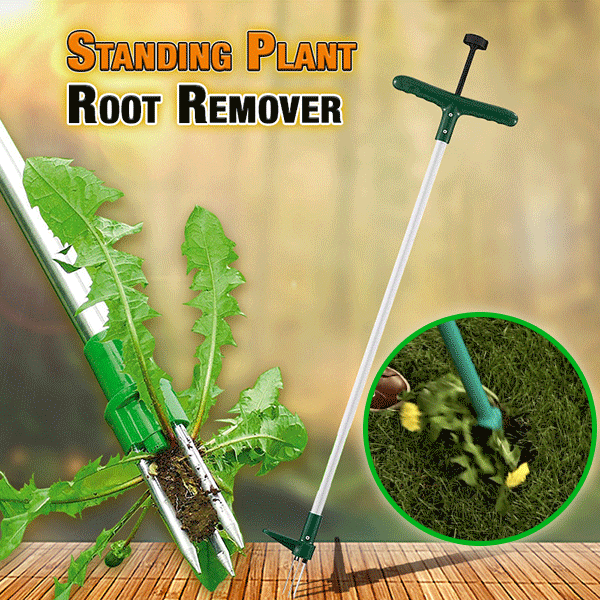 🔥Last Day Sale 60%OFF👍Standing Plant Root Remover🍀BUY MORE SAVE MORE