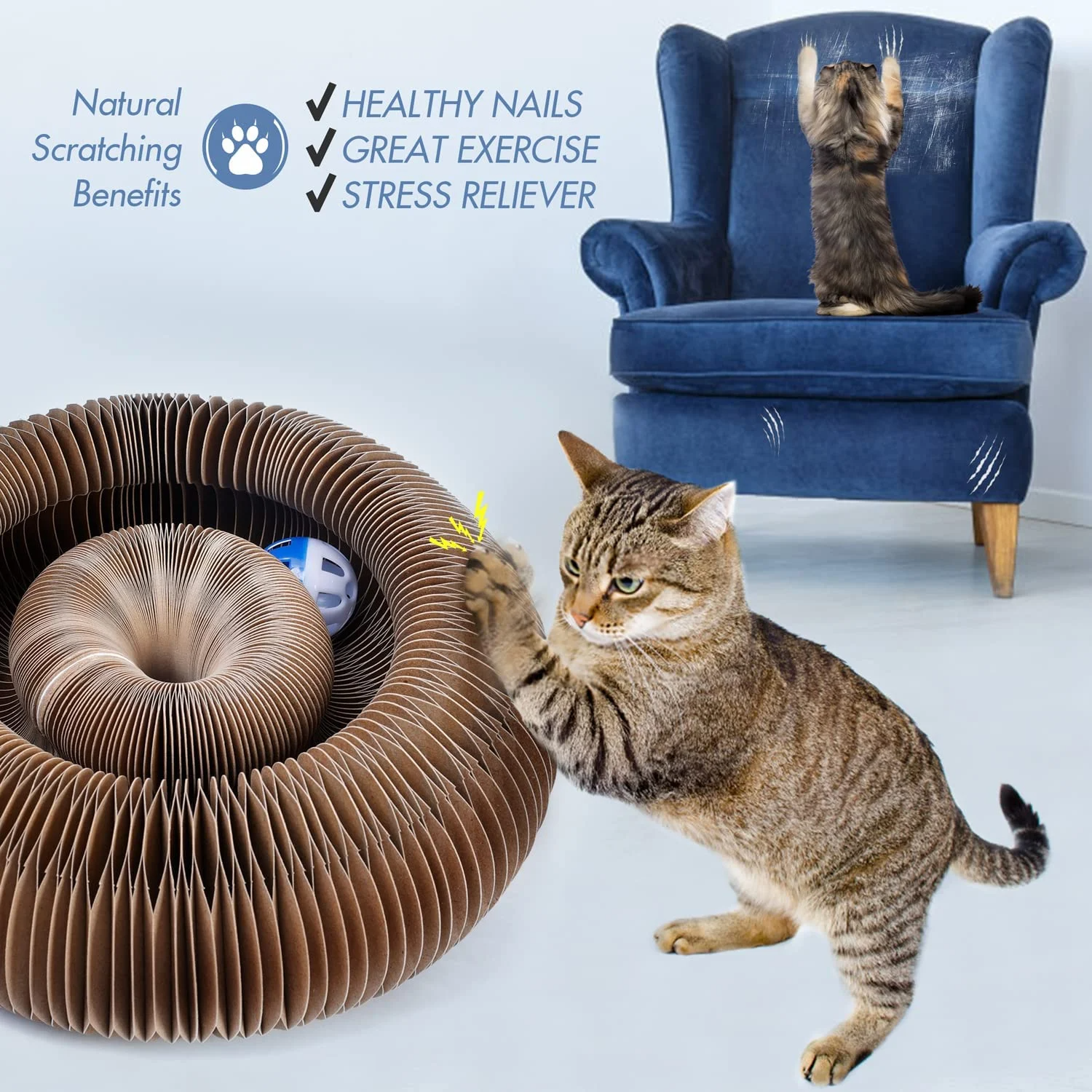 (🔥Last Day Promotion- SAVE 48% OFF)Magic Cat Scratching Toy(Buy 2 Free Shipping NOW)