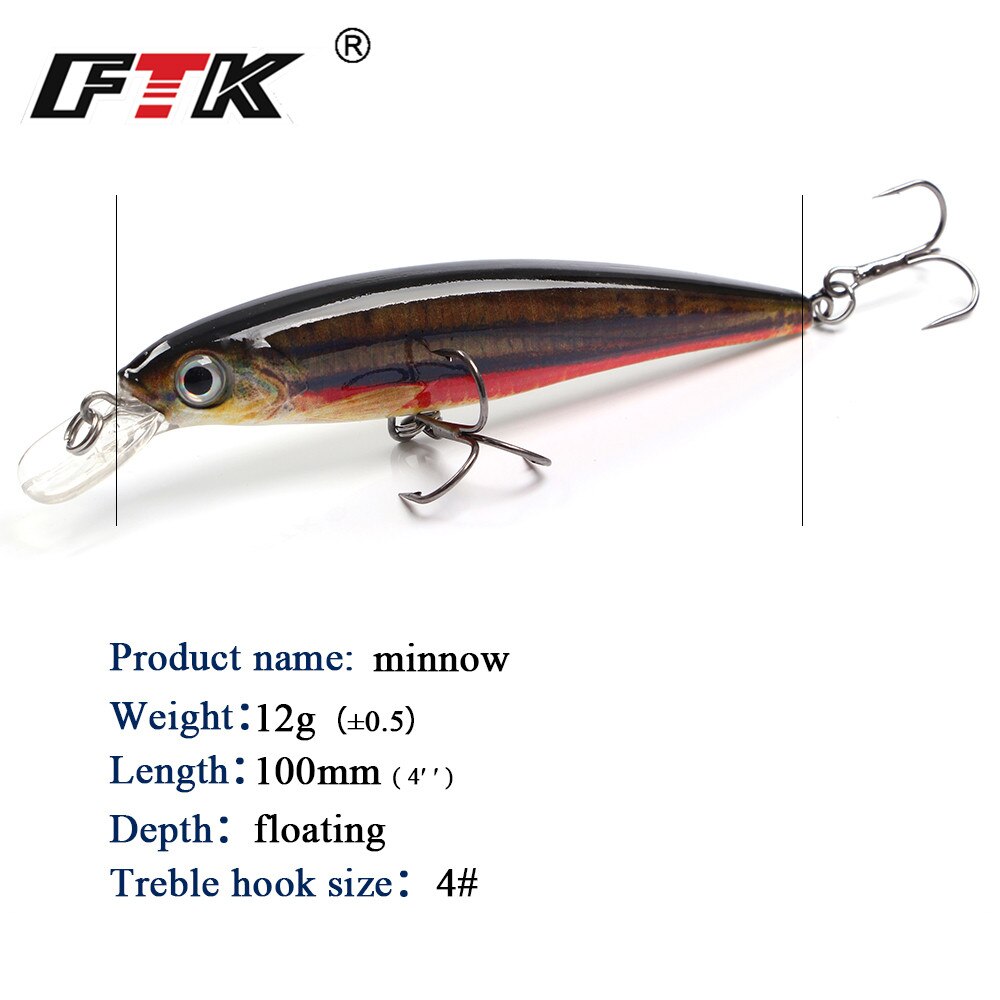 FTK Minnow Fishing Lure