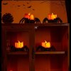 🔥👻🕷2024 Halloween Spider LED Night Light✨