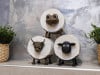 🎁 Sheep Toilet Roll Holder