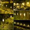 Stainless Steel Led Solar Garden Lights