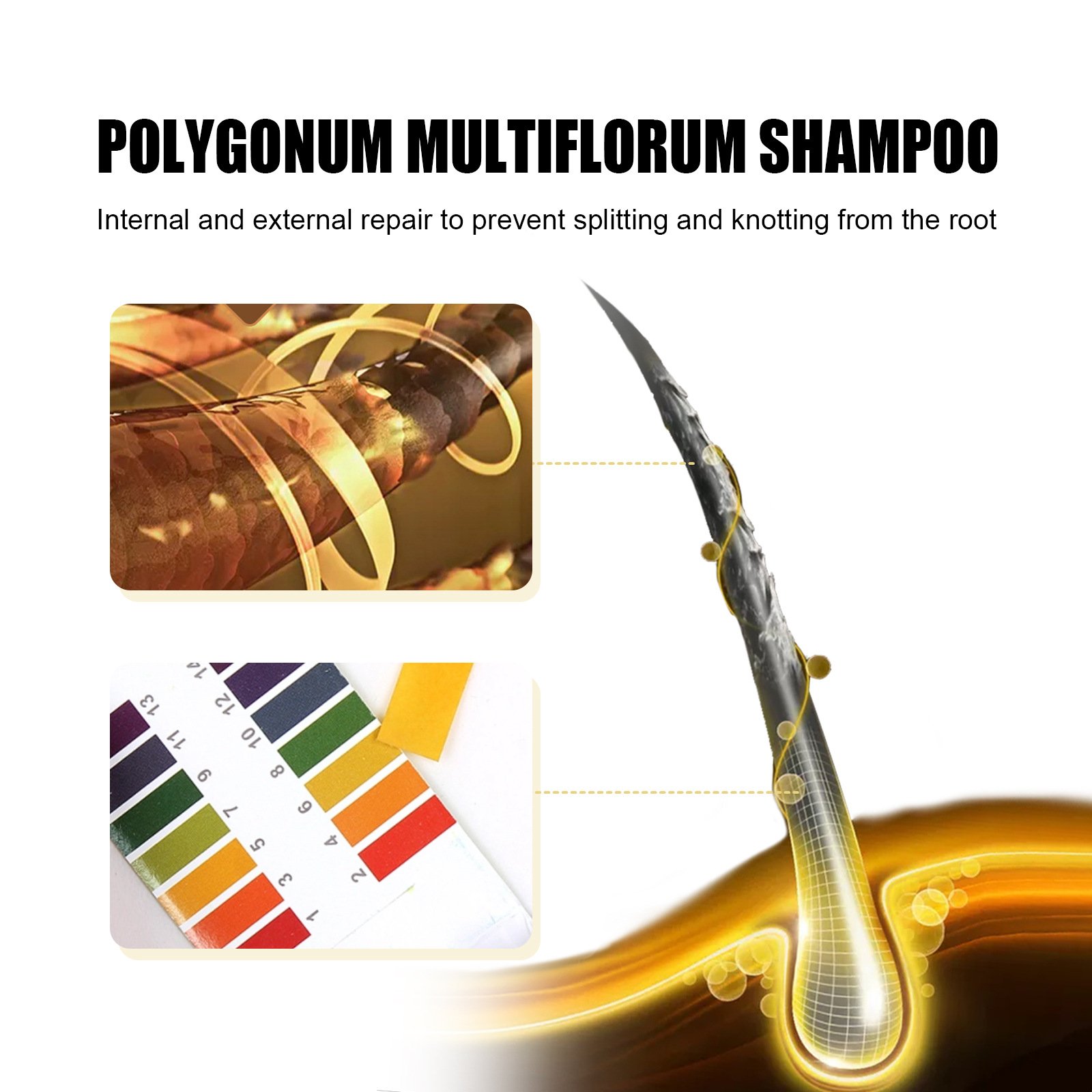 🔥Last Day Promotion 70% OFF-Polygonum Multiflorum Shampoo