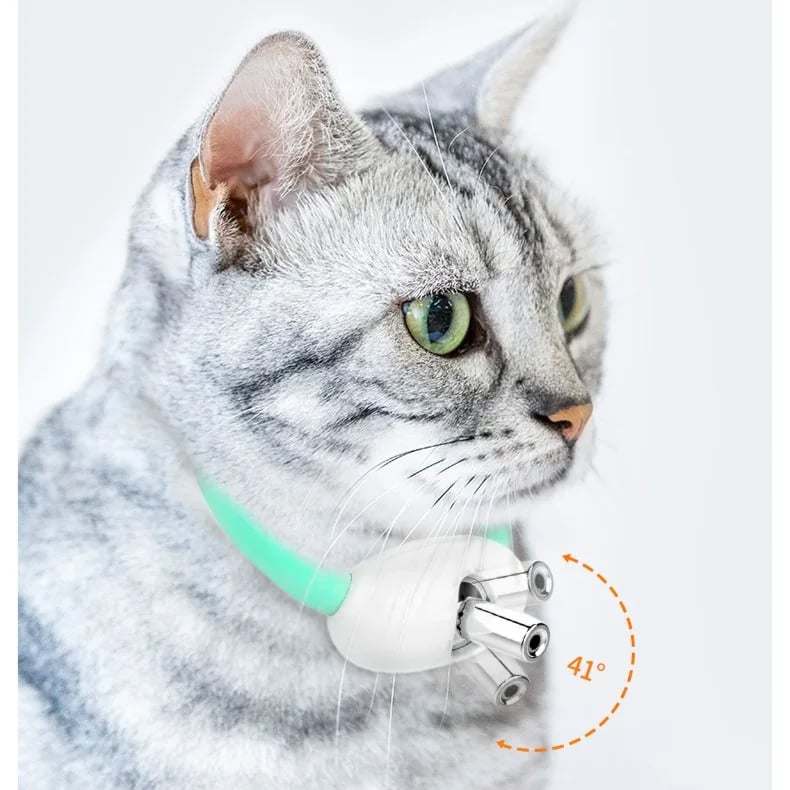 🎄Christmas Promotion-48% OFF🎁Electric Smart Amusing Collar for Kitten