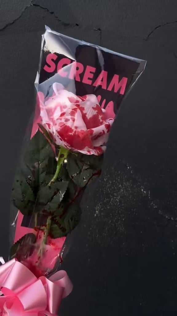 🍂TikTok Fall Sale — Last Day 70% OFF🩸SCREAM Rose Bouquet🌹- Halloween Horror Blooms💀🎀