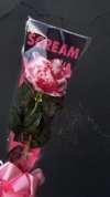 🍂TikTok Fall Sale — Last Day 70% OFF🩸SCREAM Rose Bouquet🌹- Halloween Horror Blooms💀🎀