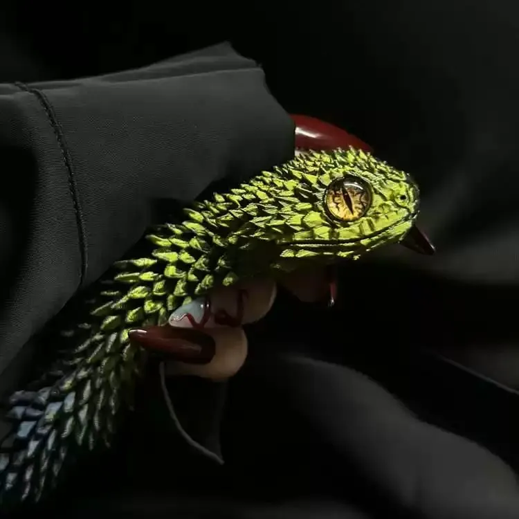🔥Hot Sale - 3D Printed Multi-Joint Movable Snake Toy