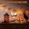 🔥Last Day Promotion 50% OFF🔥2025 Ghost Campfire Flickering Nightlight👻