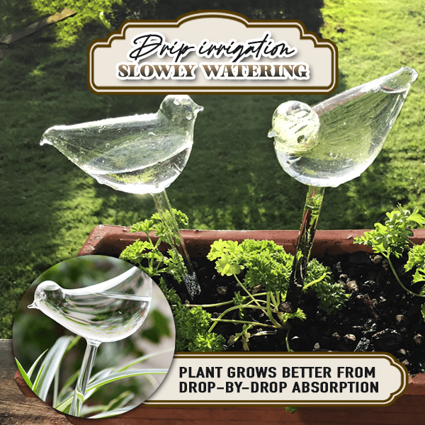 🔥Last Day Promotion 48% OFF🔥2 Pcs Self-Watering Plant Glass Bulbs