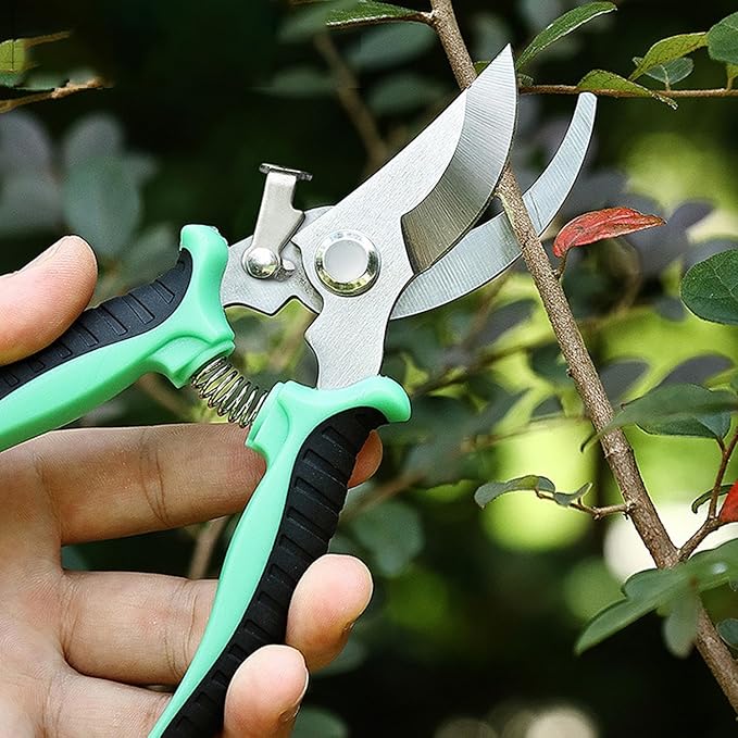 🔥Last Day Sale - 50% OFF💥Gardening Tools Branch Shears