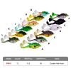 🔥Last Day 60% OFF💦Topwater Frog Fishing Lures