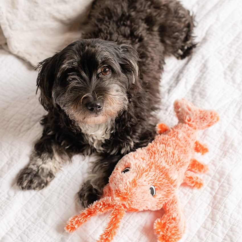 🔥Lobster Interactive Dog Toy