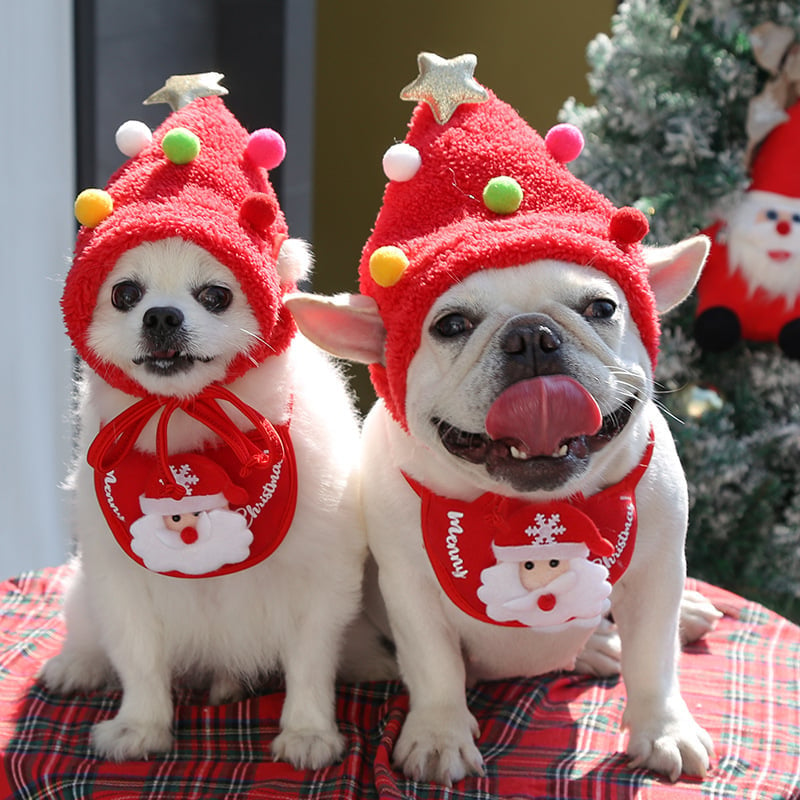 🎅Christmas Sale- 49% Off-Adorable Christmas Tree Pet Pom Pom Hat🔥Buy 3 Save 30%&FREE SHIPPING