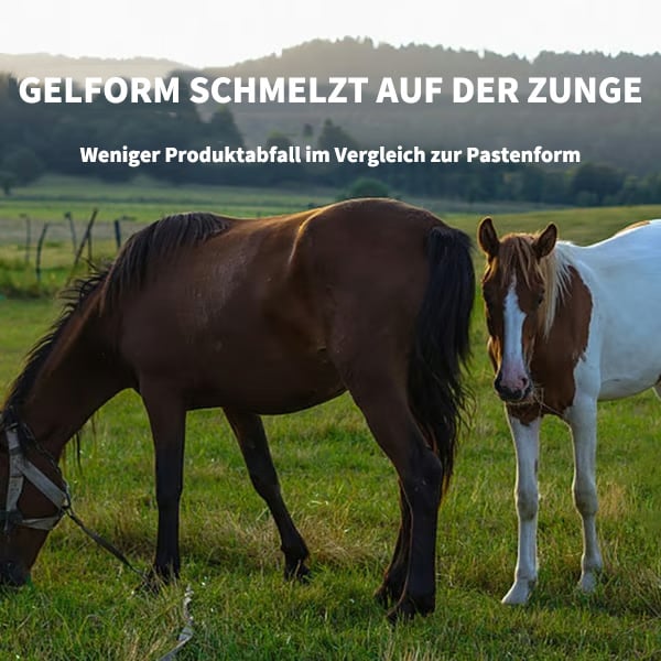 🔥Letzter Tag 49% RABATT🔥Ivermectin-Pferdepaste 1,87% 6,08g Tuben