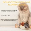 🔥 Last Day Sale 50% Off  ⏰ Interactive Chirping Bird Cat Toy 🐧