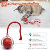 👍Last Day Promotion 50% OFF🎁Interactive Cat Toys Ball-Simulate Bird Calls