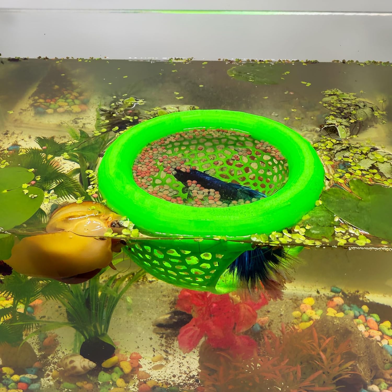 🔥Last Day: 50% OFF🐟Floating Betta Fish Skins