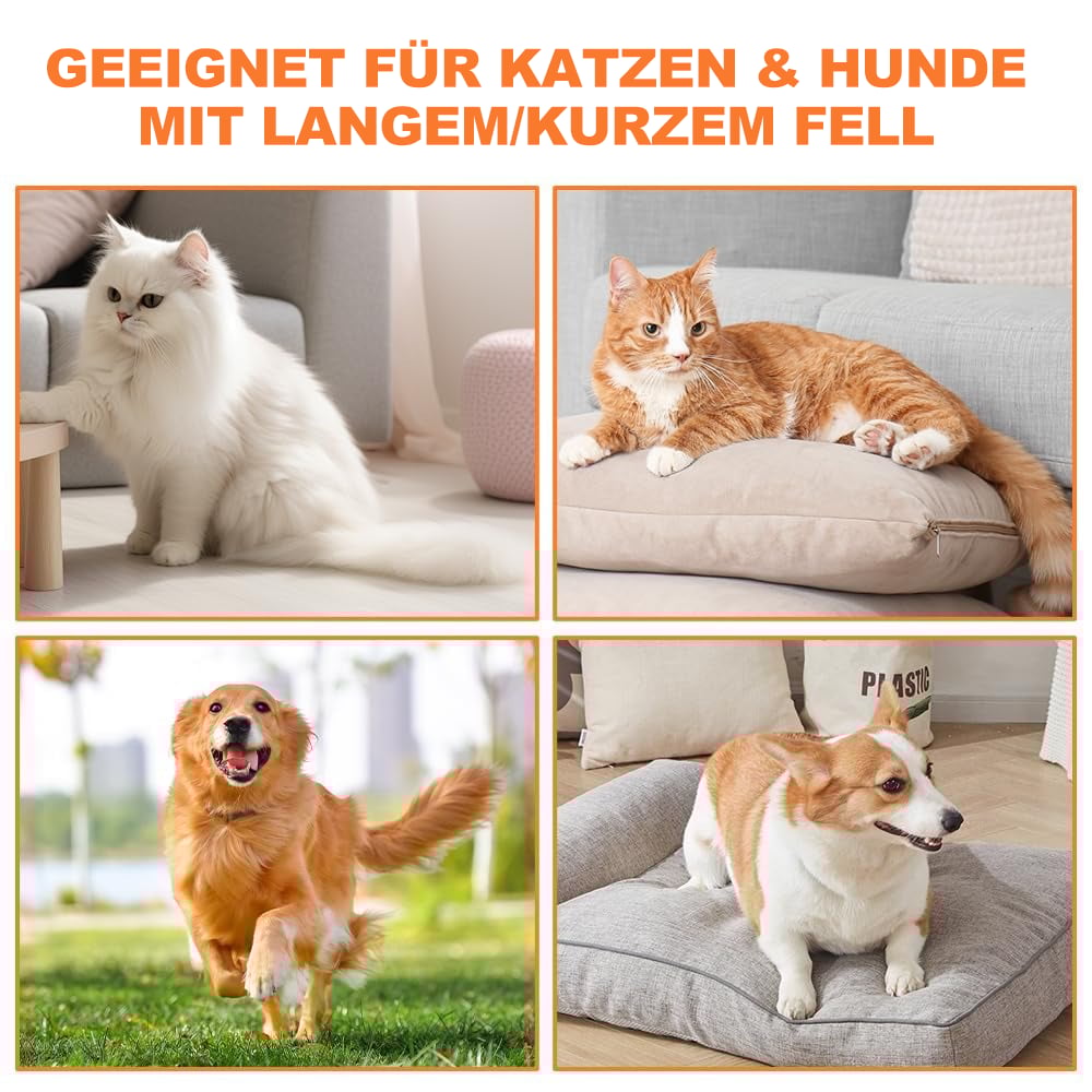 🔥Letzter Tag Aktion 49% Rabatt - Haustier Dampfbürste