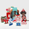 💥LAST DAY SALE 50% OFF💥Pop-Up Dog Cards