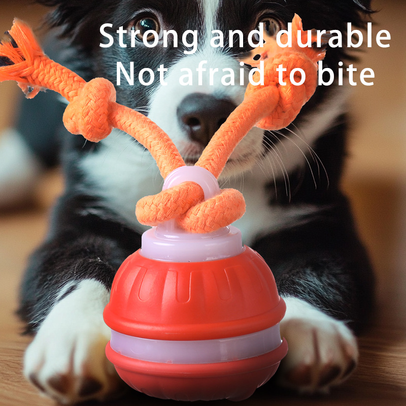 Peppy Pet Ball for Dogs