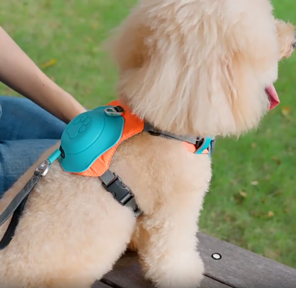 (🔥Summer Sale - 50% OFF)3 in 1 Dog Harness with Built-In Leash