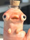 Strange weird wormy jar