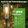 🔥Letzter Tag 50 % Rabatt- Solar-Wegeleuchten✨