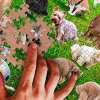 🎄🎅Christmas Presale - 49% OFF🎄-1000 Pieces Puzzle, 101 Dogs Pooping Puzzle