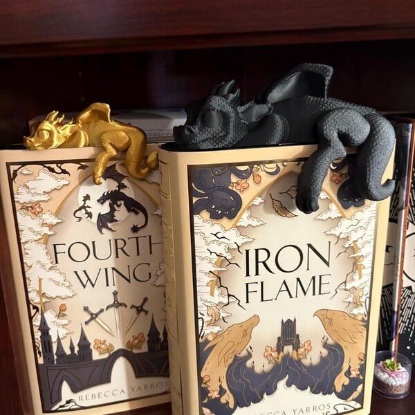 🔥🔥2025 Mother's Day Gift 49% Off--📚3D Printing Sleeping Bookshelf Dragon