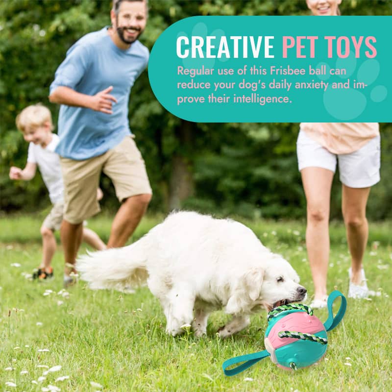 Mother's Day Limited Time Sale 70% OFF💓Interactive Flying Disk Ball Dog Toy🐾