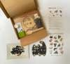 Black Cat DIY Mosaic Kit craft kit box kitten craft for kids and adults Home Decor gift