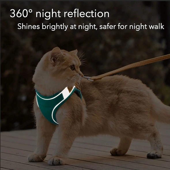 🎁Holiday Promotion🎉【Buy 2 Get Extra 10% OFF】Luminous Cat Vest Harness And Leash Set
