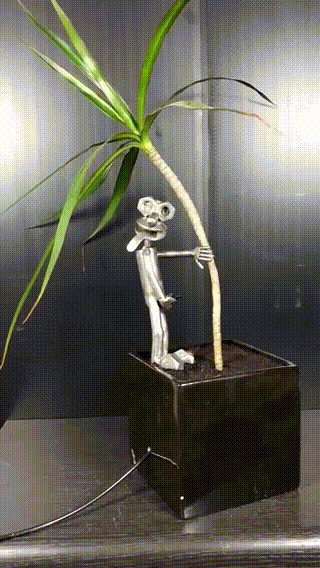 The Plant-Peeing Water Buddy