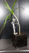 The Plant-Peeing Water Buddy