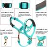 BARKLESS Dog Head Collar, No Pull Dog Halter with Soft Padding, Reflective Training Tool for Medium Large Dogs, Labrador, Stops Heavy Pulling and Easy Control on Walks