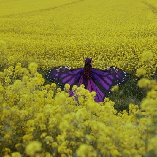 🎁TikTok Last Day Sale - 70% OFF🎉Magic cape🧚🦋