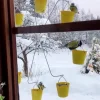 Fun Ferris Wheel Bird Feeder 🐦Create a bird playground in your garden