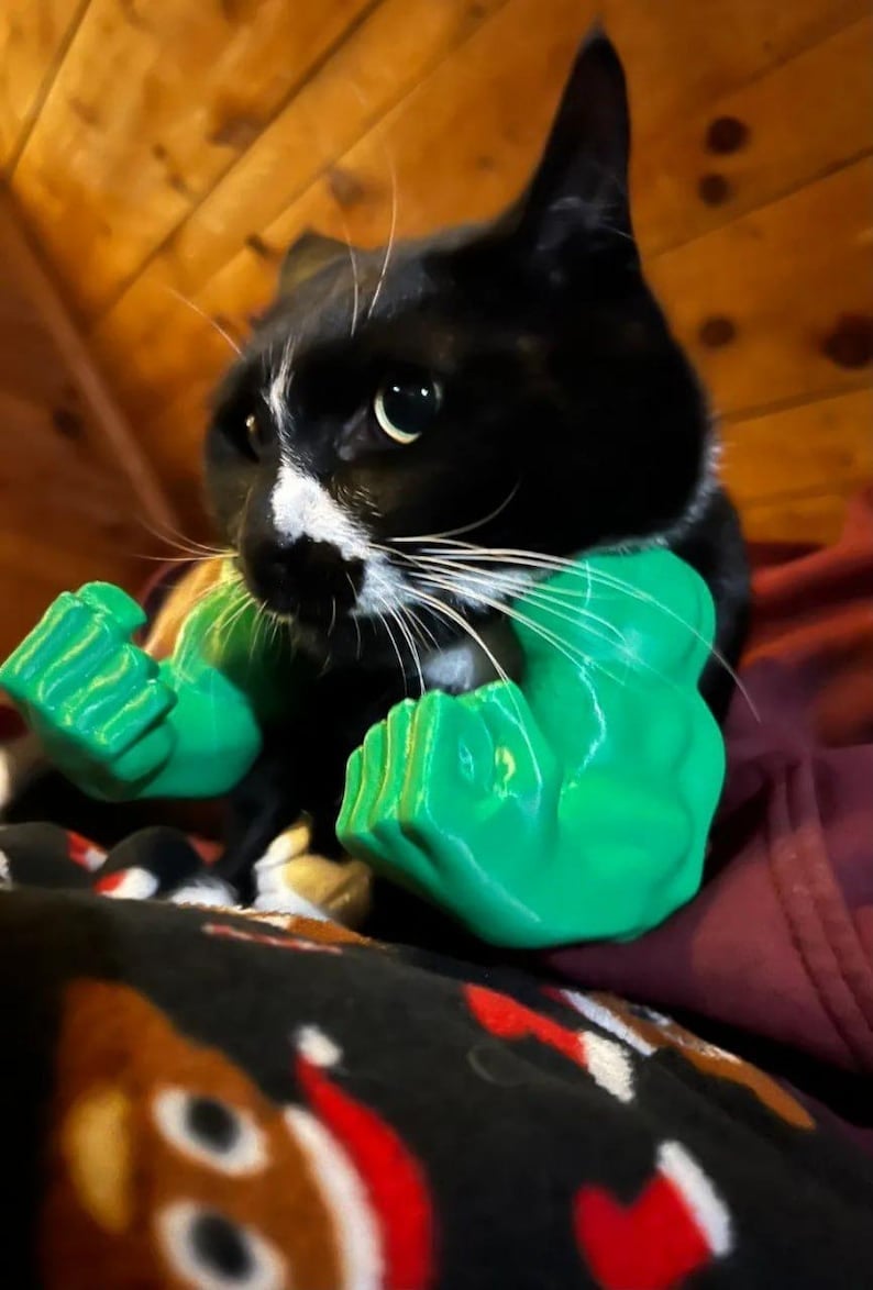 🎁Last Day Sale - 70% OFF🔥Creative Pets Green Giant arm💪