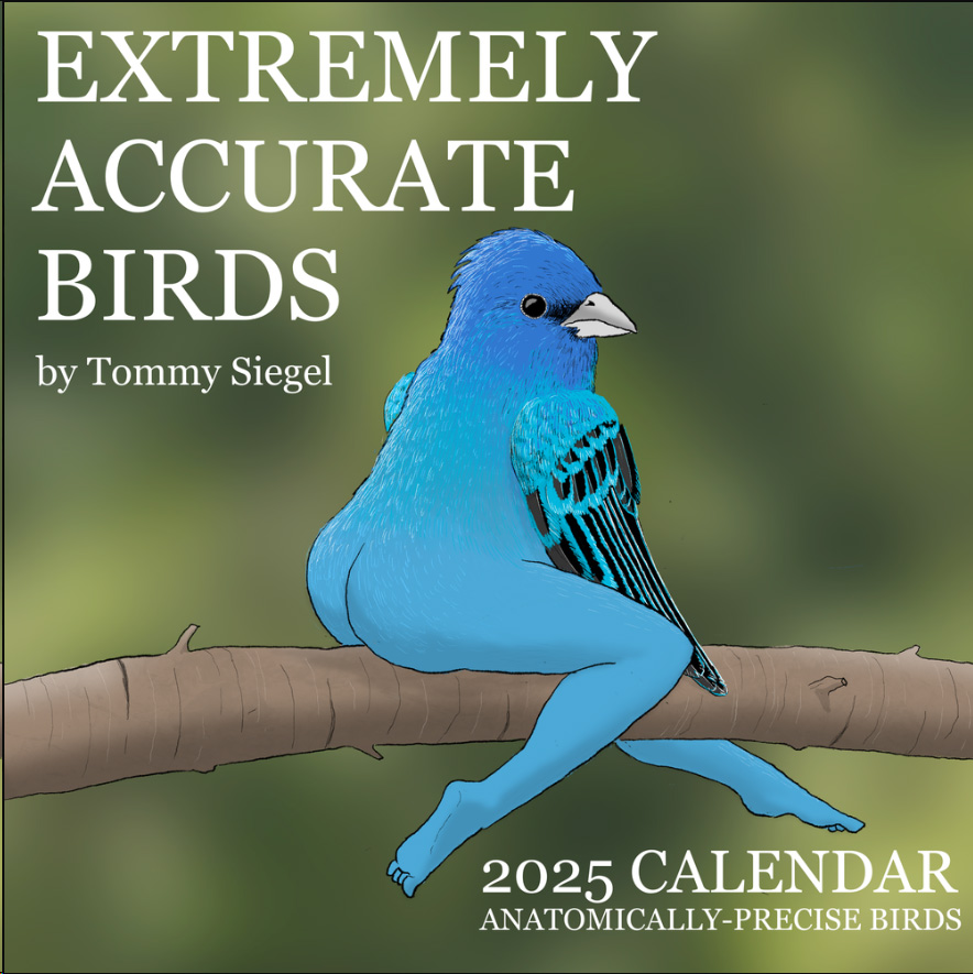 📅2025 Calendar of Extremely Accurate Birds🐦