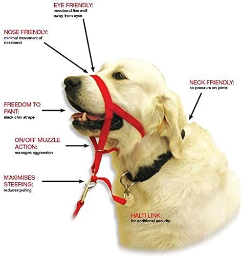 BARKLESS Soft Dog Head Collar, No Pull Training Tool for Small Medium Large Dogs on Walks, Gentle Training Collar and Control for Heavy Pullers, Includes Free Training Guide