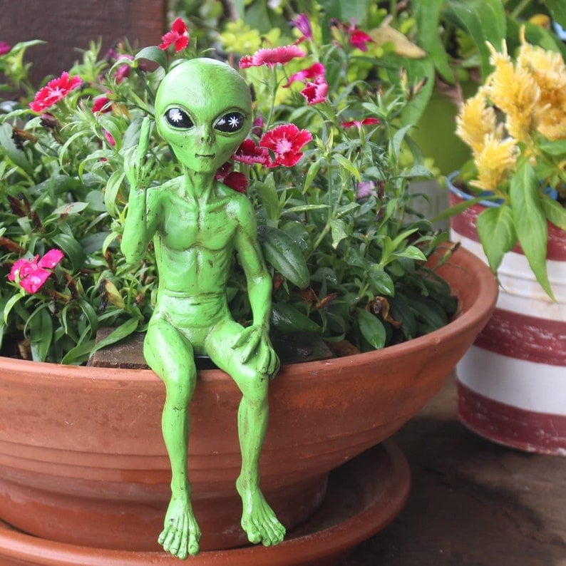 👽Rude Alien Statue