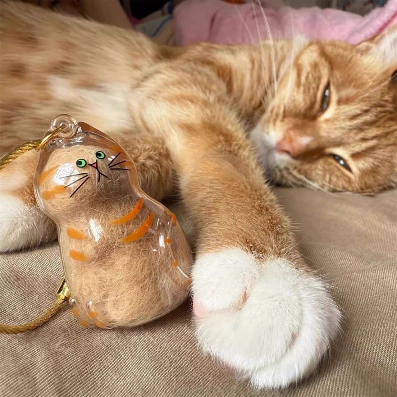 🎁TikTok Last Day Sale - 70% OFF🎉Transparent Cat Hair Storage Box Charm