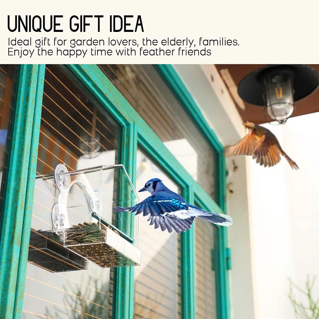 🌸Spring Sale Save 49%--Window Bird Feeder for Outside