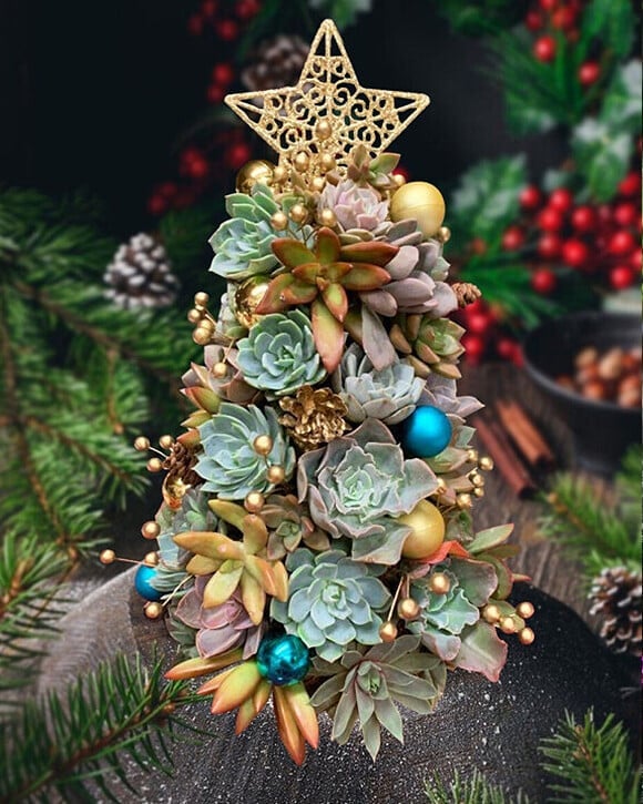 🎄Early Christmas 50% OFF🎄 2023 Siqular® Succulent Christmas Tree